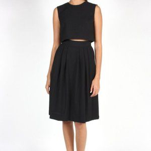 Birds of North America Songlark Skirt